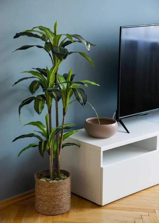 Nowogrodzka Grey Apartment وارسو المظهر الخارجي الصورة